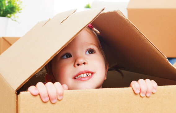 About Removals Man and Van