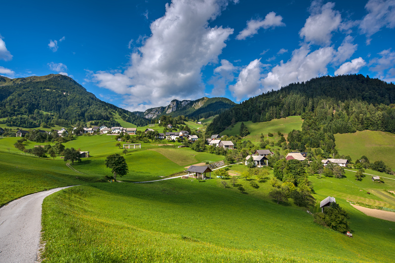 moving company packing