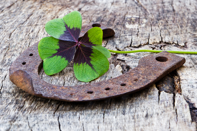 moving companies Boxes