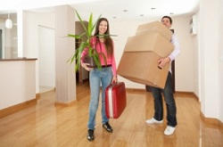 Saltash packers & movers PL12
