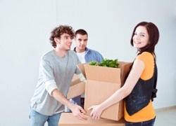 Buckfastleigh packers & movers TQ11