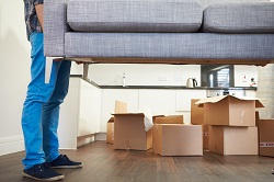 Truro packers & movers TR1