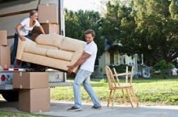 Plean removal firms